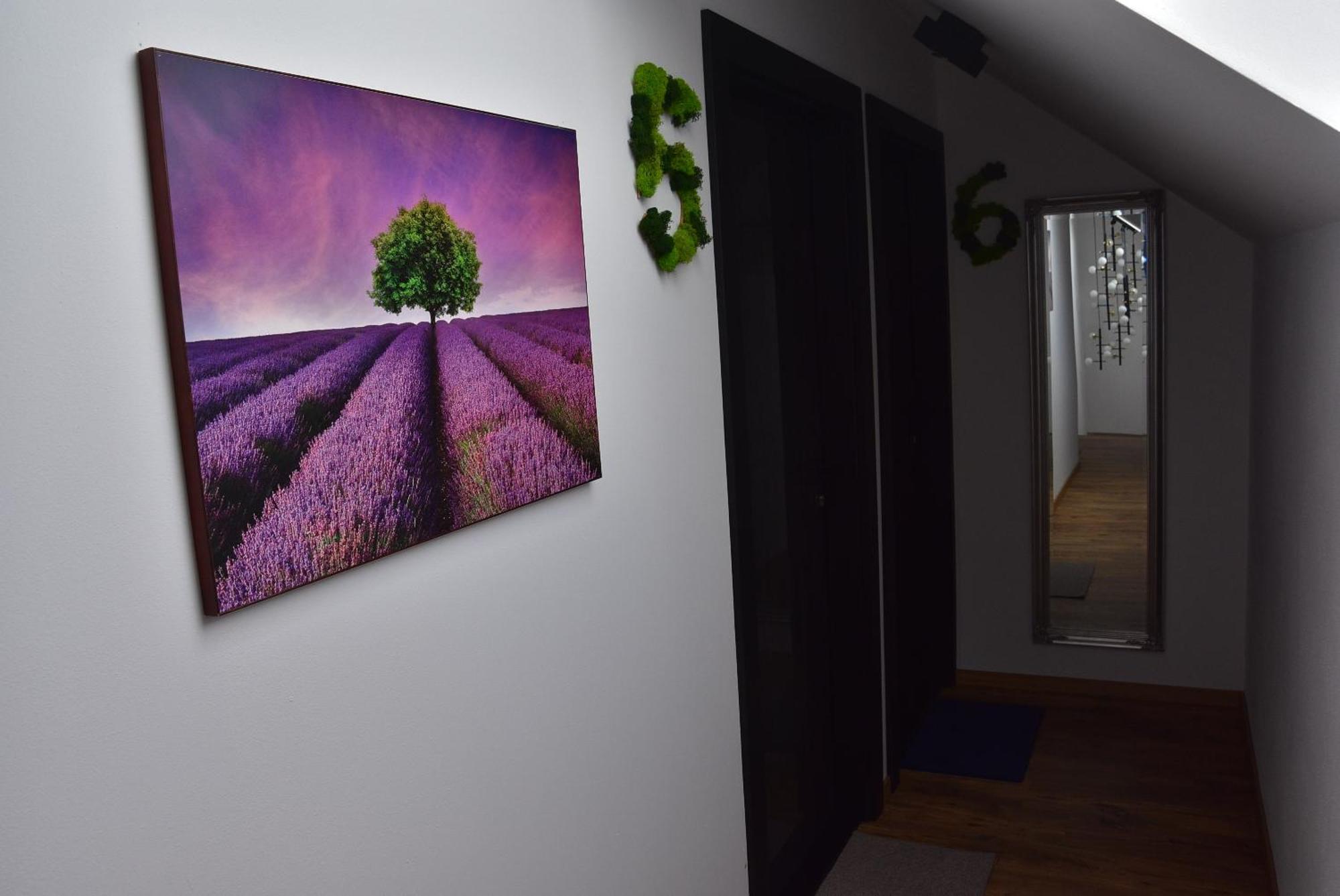 Apartmany Zakovce & Spa Vel'ka Lomnica Esterno foto
